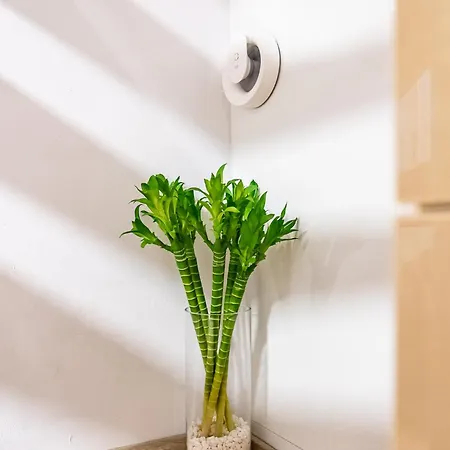 Angel 2bdrm Modern شقة