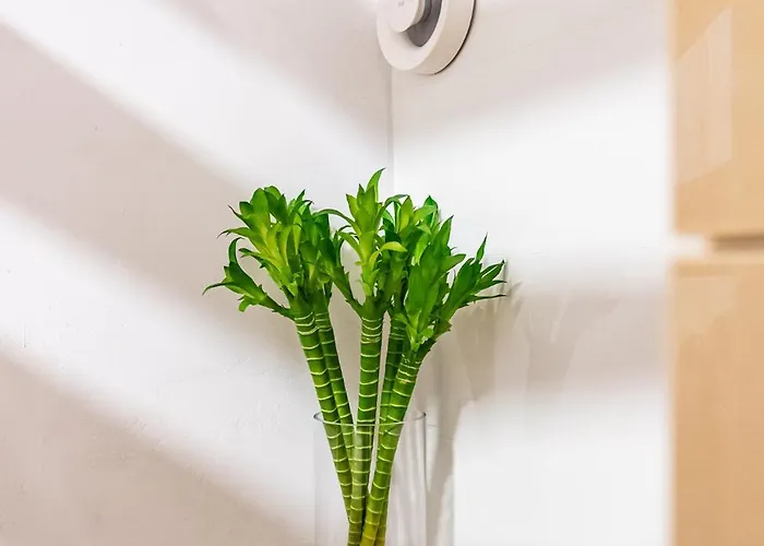 Angel 2bdrm Modern Apartment